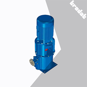 Vertical Self-Priming Centrifugal Pump